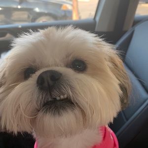 Meet your Posher, Renee